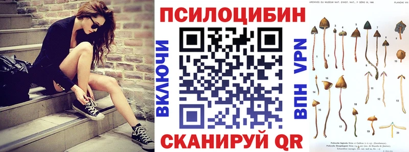 Купить закладки Кировград Псилоцибиновые грибы прущие грибы